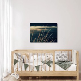 Tablou cu ierburi (70x50 cm)