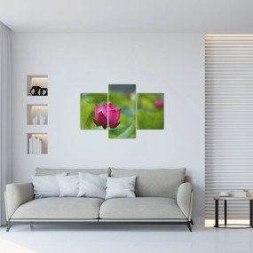 Tablou - floare de apă (90x60 cm)