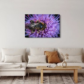 Tablou cu albina pe floare (90x60 cm)