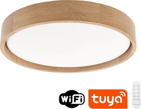BRILAGI - Plafonieră LED dimabilă SMART MANAROLA, 24W/230V, Ø 41 cm + telecomandă