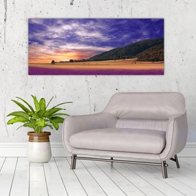 Tablou cu lunca cu lavandă (120x50 cm)