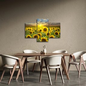 Tablou - Floarea-soarelui la apus de soare (90x60 cm)