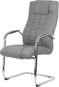 Scaun vizitator gri OFF 8115 din piele ecologică și cadru cromat tip sanie