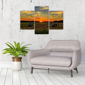 Tablou - Baloți din sat (90x60 cm)