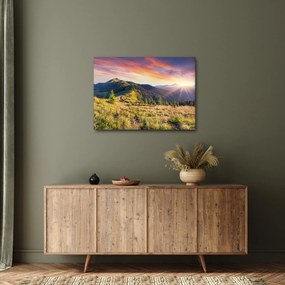 Tablou - Peisaj forestier (70x50 cm)