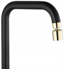 Baterie bucatarie Polo negru/gold – H 33 cm