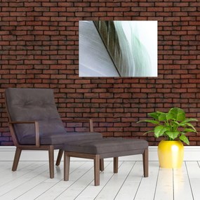 Tablou - Pene, macro (70x50 cm)