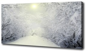 Tablouri tipărite pe pânză Pădure de iarnă frumos