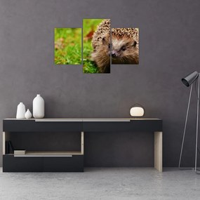 Tablou cu arici (90x60 cm)