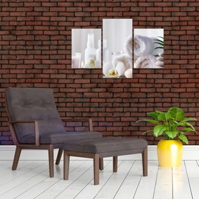 Tablou - Spa (90x60 cm)