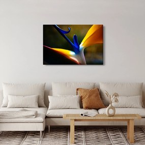 Tablou - Floare exotică (90x60 cm)