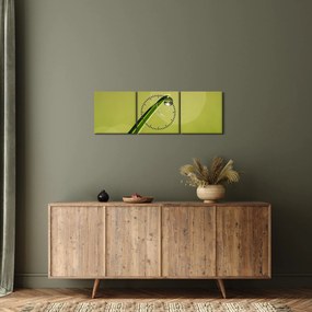 Tablou cu picătură de apă pe iarbă (cu ceas) (90x30 cm)