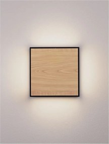 Aplica de perete LED iluminat exterior decorativ IP65 ASTRAL