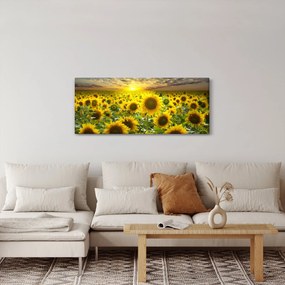 Tablou - Floarea-soarelui la apus de soare (120x50 cm)