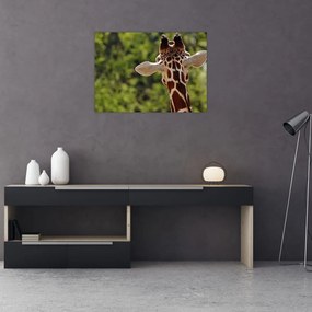 Tablou cu girafă din spate (70x50 cm), în 40 de alte dimensiuni noi