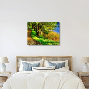 Tablou pe sticlă - poteci pe malul apei (70x50 cm)