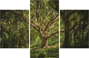 Tablou cu copaci (90x60 cm)