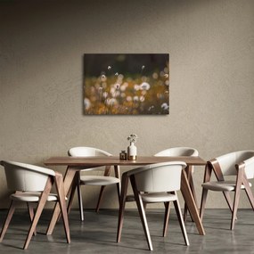Tablou - Pajiște cu iarbă de cozonac N⁰2 (70x50 cm)