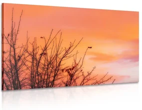 Tablou cerul colorat