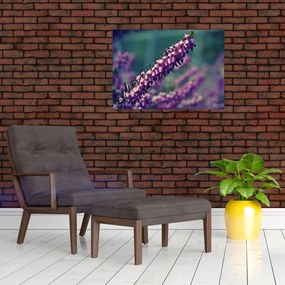 Tablou pe sticlă cu lavanda (70x50 cm)