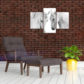 Tabou - Cai albi (90x60 cm)