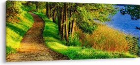 Tablou - poteci pe malul apei (120x50 cm)