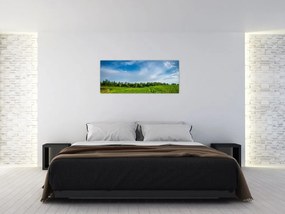 Tablou cu luncă (120x50 cm)
