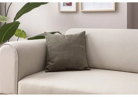 Fețe de pernă 2 buc. din catifea reiată 43x43 cm – Mioli Decor