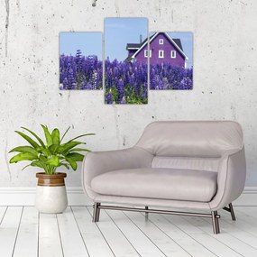 Tablou cu câmp de lavanda (90x60 cm)