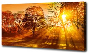 Tablou canvas Apus de soare