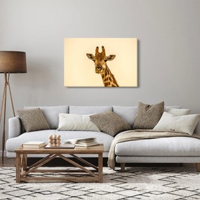 Tablou cu girafe (90x60 cm)