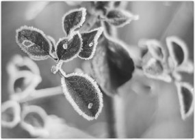 Tablou - Natura în toamnă (70x50 cm)