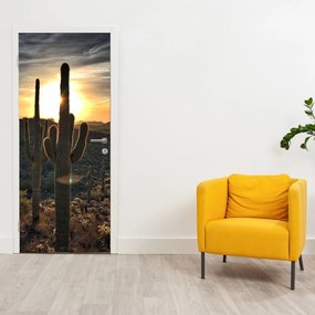 Fototapet pentru ușă - Cactuși la soare (95x205cm)