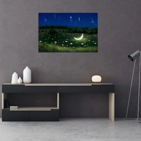 Tablou - Cer căzător (90x60 cm)