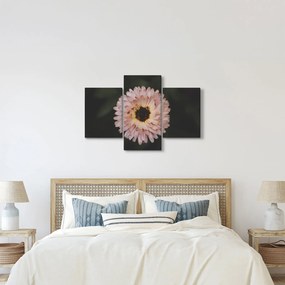 Tablou cu floare portocalie (90x60 cm)