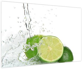 Tablou - Lămâi suculente (90x60 cm)