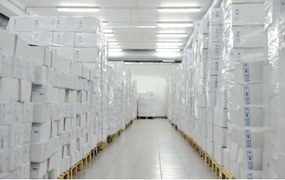 Corp de iluminat fluorescent industrial LIMEA T8 1xG13/20W/230V IP65 120cm