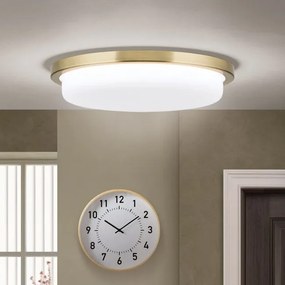 Plafoniera LED moderna LEROX 30cm alama antique