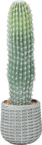HOMCOM Cactus artificial 66 cm, plantă artificială decorativă cu ghiveci pentru decor interior, verde | Aosom Romania