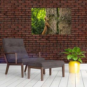 Tablou - Veverița (90x60 cm)