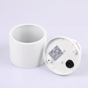 Globo 32063W - Aplică perete exterior ALCALA 1xGX53/11W/230V IP44