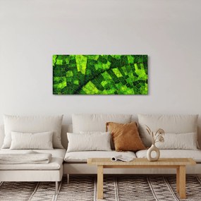 Tablou - Detaliu frunze (120x50 cm)