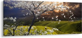 Tablou - Peisaj cu pomul înflorit (120x50 cm)