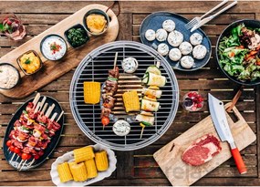 Grătar pe cărbuni/portabil ø 35 cm Classic – LotusGrill