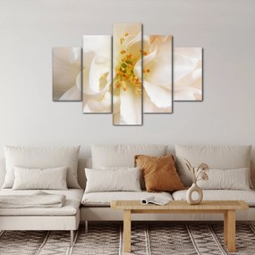 Tablou - Floare (150x105 cm)