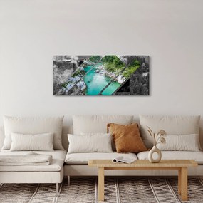 Tablou - Natura sălbatică (120x50 cm)