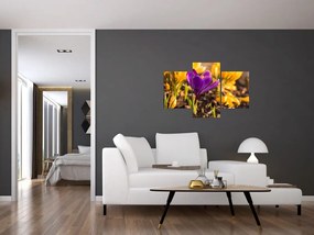 Tablou cu floare violetă (90x60 cm)