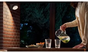 Aplică LED de exterior MIMOSA LED/7W/230V 2700K IP44 Philips