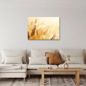 Tablou- detaliu cu (70x50 cm)