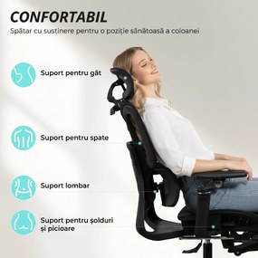 HOMCOM Scaun de Birou Ergonomic din Plasă cu Cotiere, Tetieră, Spătar Reglabil, Funcție Legănare, Negru | Aosom Romania